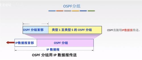 計算機網(wǎng)絡信息咨詢 深入解析網(wǎng)絡層的核心功能與關鍵技術